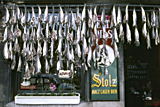 Dried fish, Antwerp photographed by artist Trevor Heath